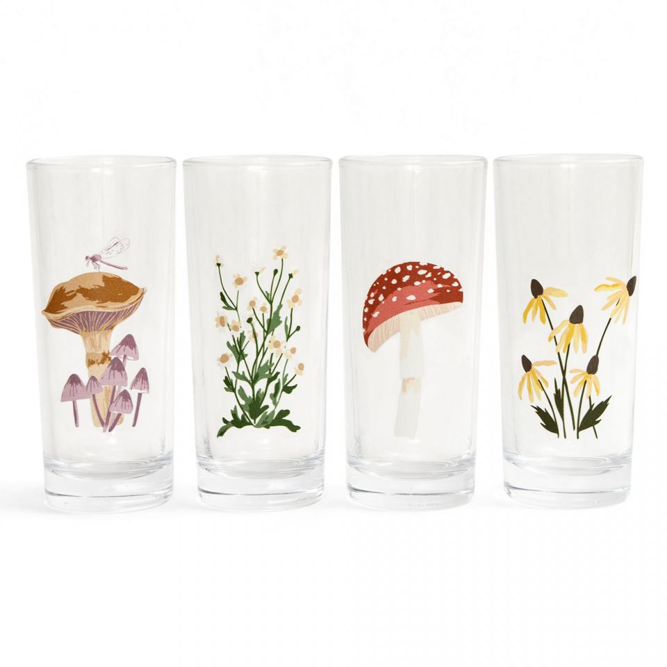 https://wholesale.inkedbrands.com/mm5/graphics/00000001/4/435763_Flora&FaunaTallJuiceGlassSet_960x960.jpg