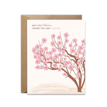 Bloom Where You Are Planted Peach Tree Greeting Card