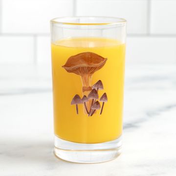 Brown Mushroom Mini Juice Glass